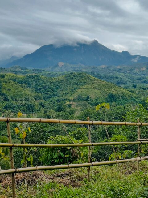 Des bribes de vie sur la route — chaque détour raconte une histoire unique.
#Spiceroad #Sava #Madagascar #Vanille #Voyage #VieLocale #OnTheRoadVanilla roads. Simple moments.
#Spiceroad #Sava #Madagascar #Vanilla #OnTheRoad