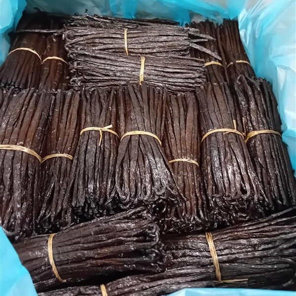 Coulisses d’une expédition: nos gousses de vanille s’apprêtent à rejoindre leur futur écrin.
Chaque lot est plus qu’un produit, c’est une promesse de goût et d’authenticité.
#spiceroad #vanille #expédition #qualité
#gout #authenticité
Snapshot before the journey begins...
More than shipping — it’s the beginning of a new gourmet story.
#spiceroad #vanilla #vanillabeans #shipping #gourmet #authentic