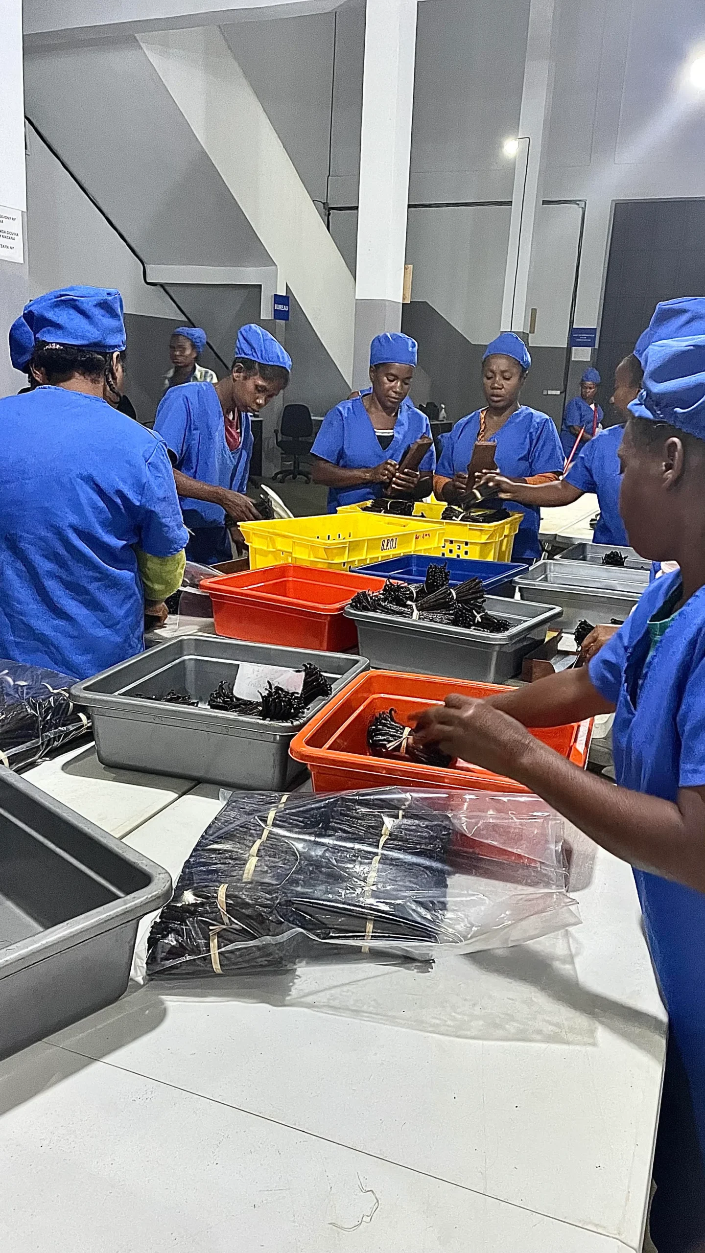 production de vanille madagascar